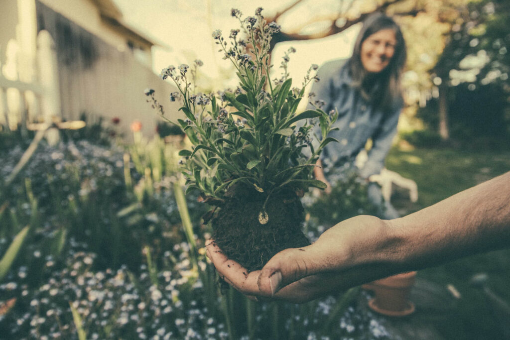 residential landscaping in burlington ma